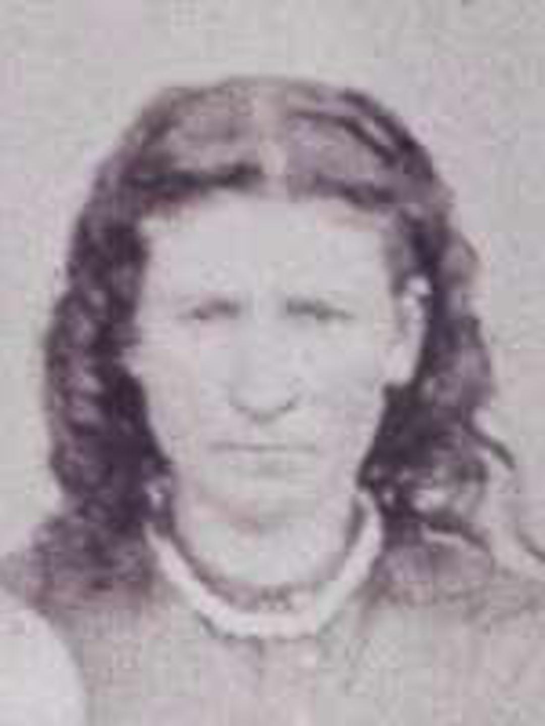 Harriet Persis McKee (1852 - 1930) Profile